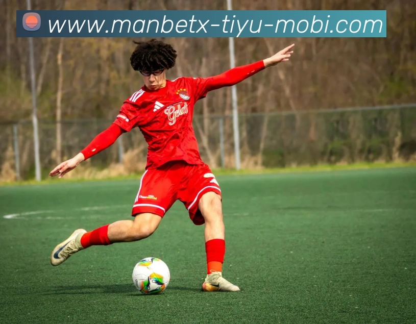 万博体育APP 封面图